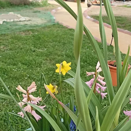 La Pequelette Feriehus Saint-Ambroix