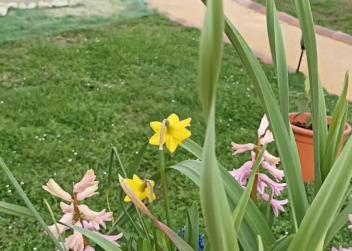 La Pequelette Dom wakacyjny Saint-Ambroix